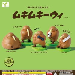 画像1: ムキムキーウィ（１０月）【カプセルトイ　ガチャガチャ　ガチャポン】＋正規台紙１枚