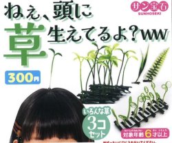 画像1: ねぇ、頭に草生えてるよ？（１１月）【カプセルトイ　ガチャガチャ　ガチャポン】＋正規台紙１枚