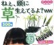 ねぇ、頭に草生えてるよ？（１１月）【カプセルトイ　ガチャガチャ　ガチャポン】＋正規台紙１枚