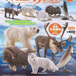 画像1: ＷＩＬＤ　ＲＵＳＨ　真・世界動物誌III－極地・北極圏編－（１１月）【カプセルトイ　ガチャガチャ　ガチャポン】＋正規台紙１枚