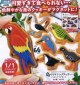 ATC 鳥のアイシングクッキー フィギュアマグネット（１月）【カプセルトイ　ガチャガチャ　ガチャポン】＋正規台紙１枚