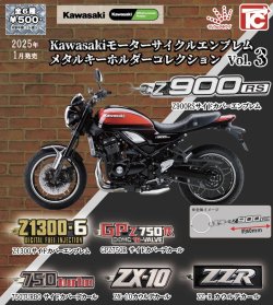 画像1: Kawasakiモーターサイクルエンブレム　メタルキーホルダーVol.3（１月）【カプセルトイ　ガチャガチャ　ガチャポン】＋正規台紙１枚