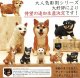 ＡＩＰ　はしもとみお　犬の彫刻（再販）（３月）２０個入【５００円カプセルトイ　奇譚クラブ】＋正規台紙