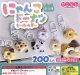 にゃんこドーナツキーホルダー（３月）【２００円カプセルトイ　５０個入り　サン宝石】＋正規台紙