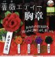 薔薇エティー胸章（４月）【３００円カプセルトイ　４０個入り　アミューズ】＋正規台紙