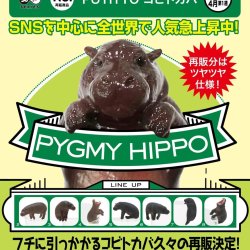 画像1: ＰＵＴＩＴＴＯ　コビトカバ（再販）（４月）【３００円カプセルトイ　４０個入り　奇譚クラブ】＋正規台紙