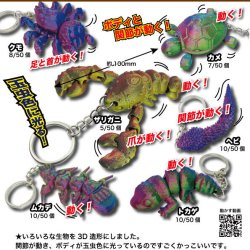 画像1: 3D生物マスコット（３月）【３００円カプセルトイ　５０個入り　共同】＋正規台紙