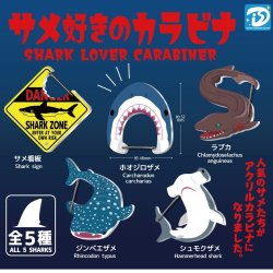 画像1: サメ好きのカラビナ（３月）【３００円カプセルトイ　４０個入り　Ｄｉｓ】＋正規台紙