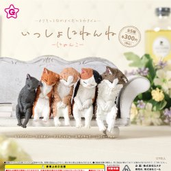 画像1: いっしょにねんねーにゃんこー（４月）【☆３００円カプセルトイ　４０個入り　エール】＋正規台紙