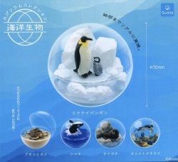 画像1: カプリウムコレクション 海洋生物 (再販)（４月）【☆５００円カプセルトイ　２０個入り　クオリア】＋正規台紙