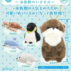 画像1: かわいいかわいいぬいぐるみ　水族館のいきもの（再販）（５月）【★５００円カプセルトイ　２０個入り　奇譚クラブ】＋正規台紙