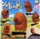 カピバラびよんびよんピン（５月）【★２００円カプセルトイ　５０個入り　アミューズ】＋正規台紙