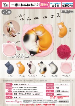 画像1: 一緒にねんね　ねこ２（再販）（５月）【★３００円カプセルトイ　４０個入り　ブルーム】＋正規台紙