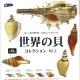 世界の貝コレクションVol.1（５月）【★３００円カプセルトイ　４０個入り　レインボー】＋正規台紙