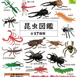 画像1: 昆虫図鑑再販（５月）【★１００円カプセルトイ　１００個入り　共同】＋正規台紙