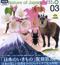 画像1: NATURE OF JAPAN 日本のいきもの3（６月）【◇５００円カプセルトイ　２０個入り　いきもん】＋正規台紙