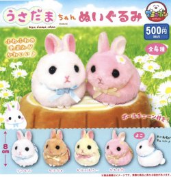 画像1: うさだまちゃんぬいぐるみ（６月）【◇５００円カプセルトイ　２０個入り　アミューズ】＋正規台紙