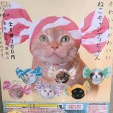 画像: かわいいかわいい　ねこキャンディちゃん