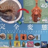 画像: サイエンステクニカラー 変態する昆虫 －昆虫学習わくわくセット