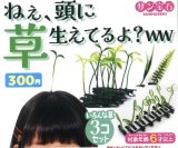 画像: ねぇ、頭に草生えてるよ？（１１月）【カプセルトイ　ガチャガチャ　ガチャポン】＋正規台紙１枚