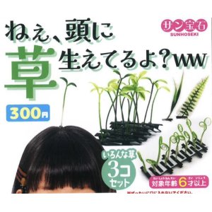 画像: ねぇ、頭に草生えてるよ？（１１月）【カプセルトイ　ガチャガチャ　ガチャポン】＋正規台紙１枚