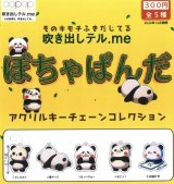 画像: ぽちゃぱんだ　アクリルキーチェーン（１２月）【カプセルトイ　ガチャガチャ　ガチャポン】＋正規台紙１枚