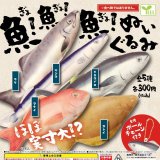 画像: 魚！魚！魚！ぬいぐるみ（１月）【カプセルトイ　ガチャガチャ　ガチャポン】＋正規台紙１枚