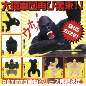 画像: ＰＵＴＩＴＴＯ　ゴリラ（再販）（２月）【カプセルトイ　ガチャガチャ　ガチャポン】＋正規台紙１枚