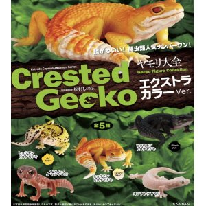 画像: ヤモリ大全　エクストラカラーＶｅｒ．（１月）【カプセルトイ　ガチャガチャ　ガチャポン】＋正規台紙１枚