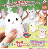 画像: チンチラのララちゃんぷきゅっぴーマスコット（３月）３０個入り【４００円カプセルトイ　アミューズ】＋正規台紙