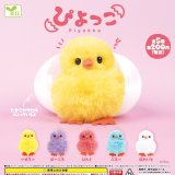 画像: ぴよっこ（２月）５０個入り【２００円カプセルトイ　エール】＋正規台紙