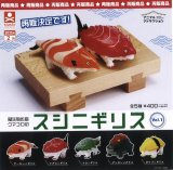 画像: 擬生物作家クマコロのスシニギリス Vol.1（再販）（２月）３０個入【４００円カプセルトイ　S・ストーンズ】＋正規台紙