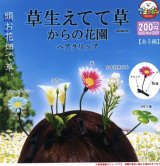 画像: 草生えてて草からの花園ヘアクリップ（４月）【２００円カプセルトイ　５０個入り　アミューズ】＋正規台紙