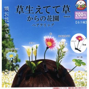 画像: 草生えてて草からの花園ヘアクリップ（４月）【２００円カプセルトイ　５０個入り　アミューズ】＋正規台紙