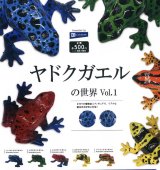 画像: ヤドクガエルの世界Vol.1（３月）【５００円カプセルトイ　２０個入り　レインボー】＋正規台紙