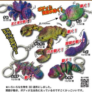 画像: 3D生物マスコット（３月）【３００円カプセルトイ　５０個入り　共同】＋正規台紙