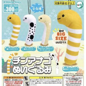 画像: チンアナゴぬいぐるみ【カプセルトイ　ガチャガチャ　ガチャポン】＋正規台紙１枚☆