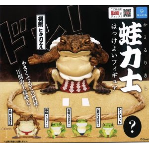 画像: 再販　蛙力士はっけよいフィギュア（４月）【☆３００円カプセルトイ　４０個入り　クオリア】＋正規台紙