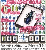 画像: STC ドイツ箱 マグネットコレクション４（５月）【★５００円カプセルトイ　２０個入り　いきもん】＋正規台紙