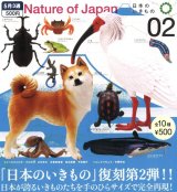 画像: NATURE OF JAPAN 日本のいきもの2（５月）【★５００円カプセルトイ　２０個入り　いきもん】＋正規台紙