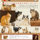 画像: ＡＩＰはしもとみお２　猫の彫刻２（再販）（５月）【★５００円カプセルトイ　２０個入り　奇譚クラブ】＋正規台紙