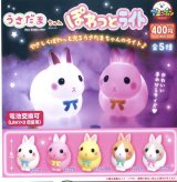 画像: 【再販】うさだまちゃんぽわっとライト（５月）【★４００円カプセルトイ　３０個入り　アミューズ】＋正規台紙