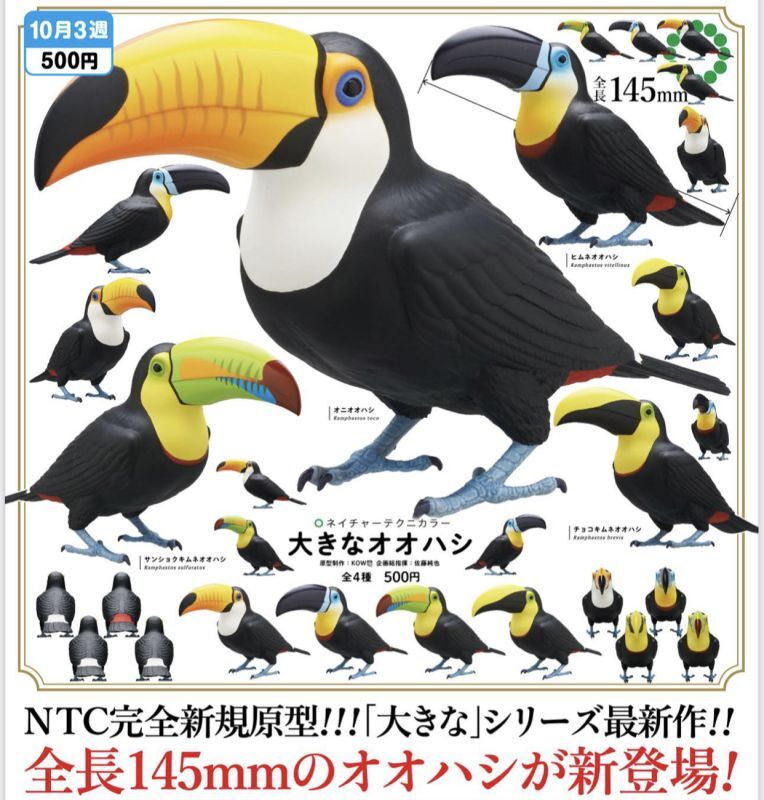 画像1: NTC 大きなオオハシ（１０月）【カプセルトイ　ガチャガチャ　ガチャポン】＋正規台紙１枚