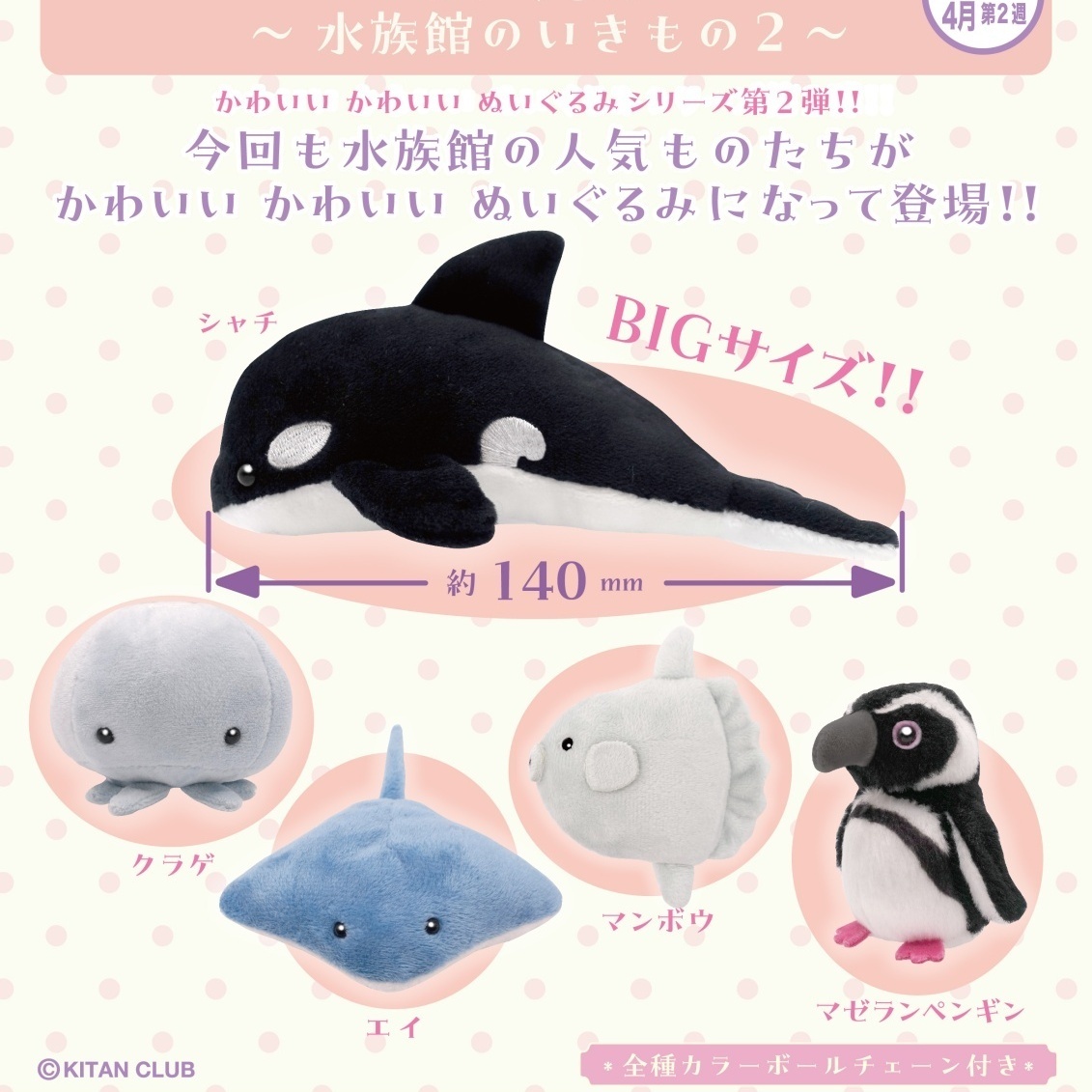 画像1: かわいいかわいいぬいぐるみ－水族館のいきもの２－（４月）【５００円カプセルトイ　２０個入り　奇譚クラブ】＋正規台紙