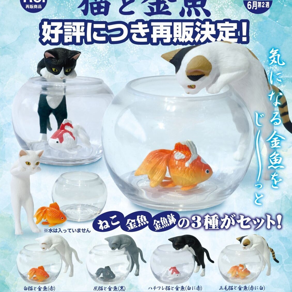 画像1: 猫と金魚（再販）（６月）【◇５００円カプセルトイ　２０個入り　奇譚クラブ】＋正規台紙