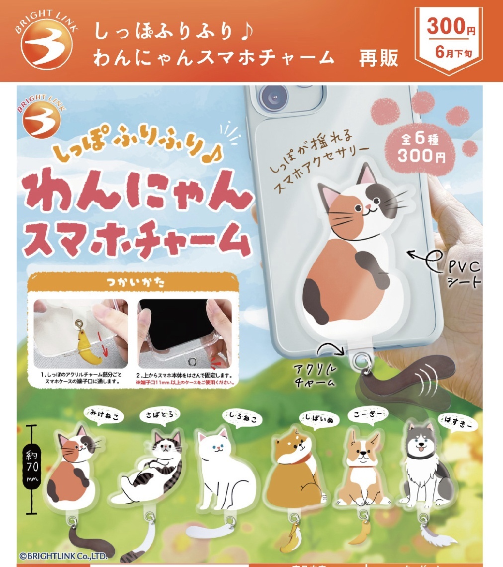 画像1: しっぽふりふり♪わんにゃんスマホチャーム（再販）（６月）【◇３００円カプセルトイ　４０個入り　ブライトリンク】＋正規台紙